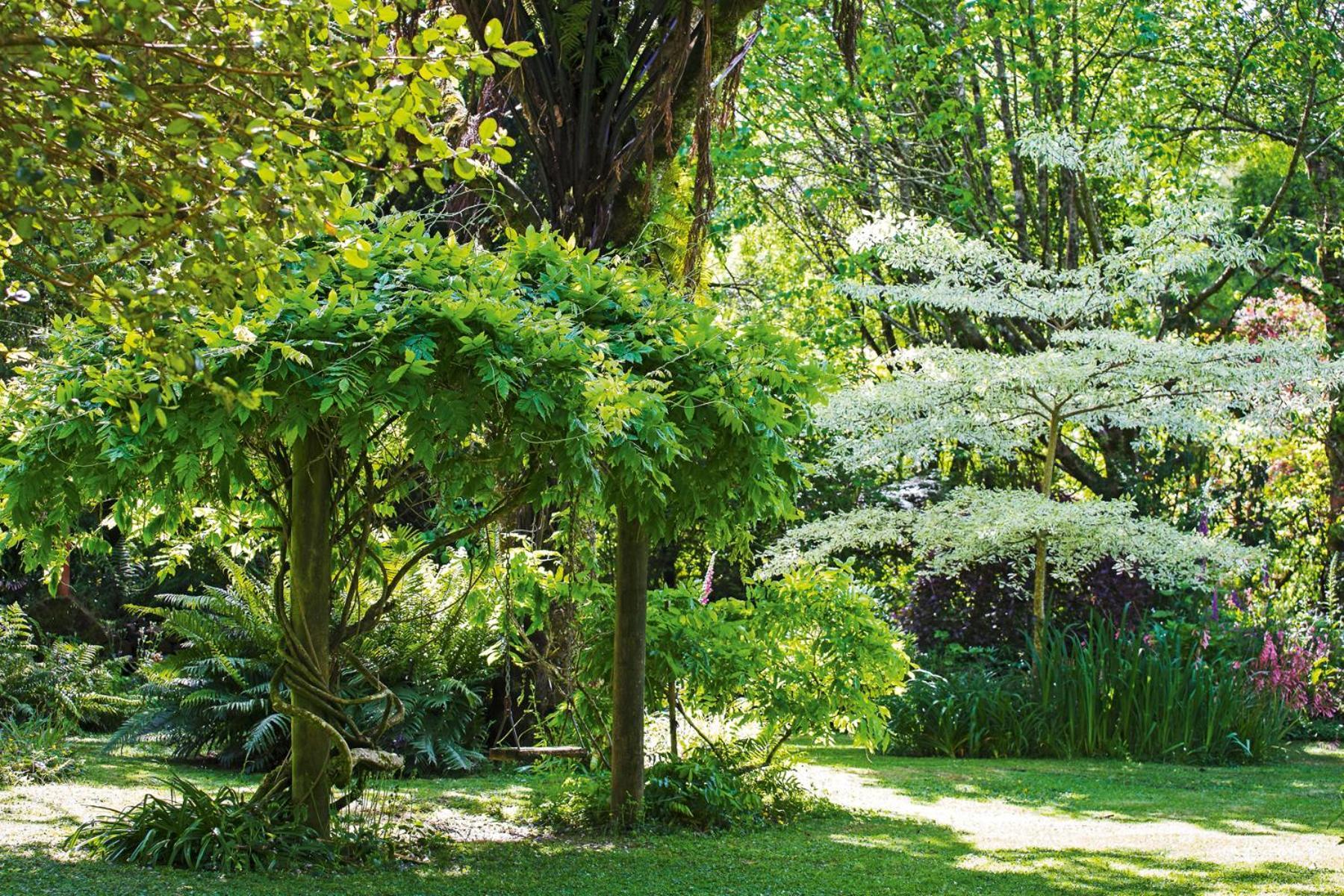 Lodge Tepopo Gardens Rural Retreat